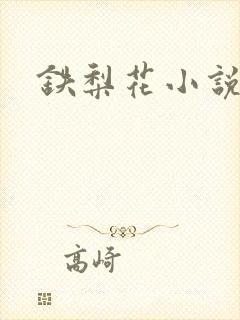铁梨花小说