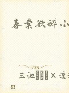 春棠欲醉小说封面