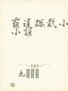 霸道总裁小娇妻小说
