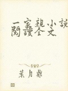 一家亲小说免费阅读全文封面