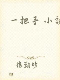 一把手 小说封面