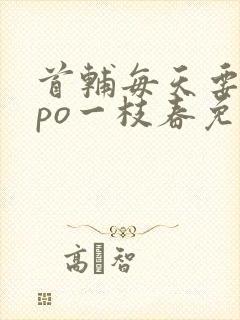 首辅每天要不够po一枝春免费阅读封面