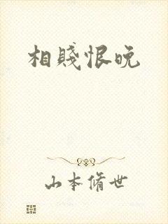 相贱恨晚封面