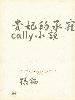 贵妃的承宠日常cally小说