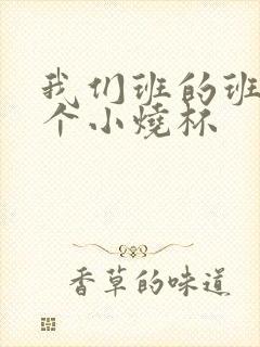 我们班的班花是个小烧杯