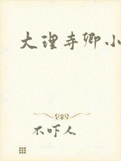 大理寺卿小说