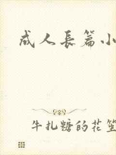 成人长篇小说封面