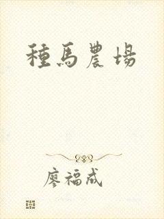 种马农场封面