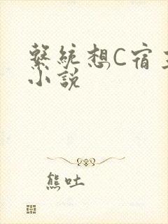 系统想C宿主的小说
