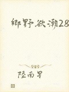 乡野欲潮28章