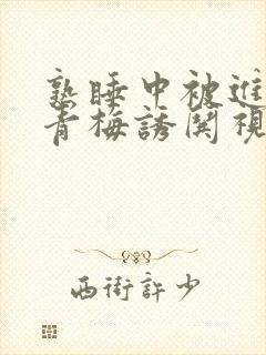 熟睡中被进了H青梅诱哄视频