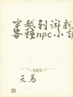 穿越到游戏里和各种npc小说封面