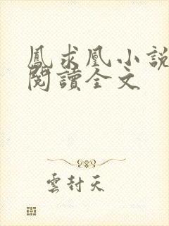 凤求凰小说免费阅读全文