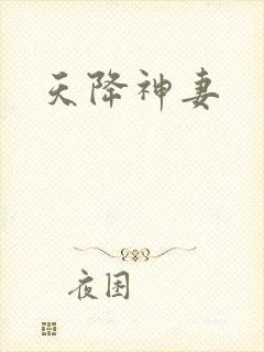 天降神妻