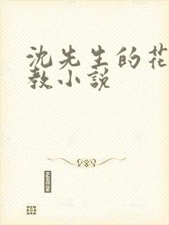 沈先生的花式调教小说
