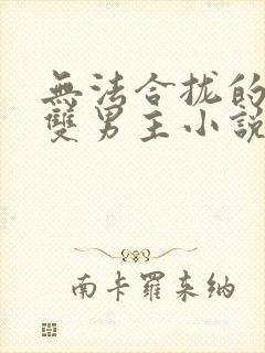 无法合拢的总裁双男主小说