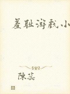 羞耻游戏小说