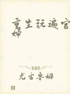 重生玩遍官场贵妇