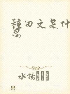 种田文是什么意思