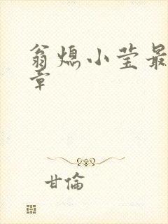 翁熄小莹最新节章封面