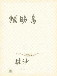 辅助岛封面