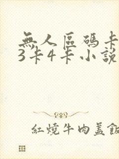 无人区码卡二卡3卡4卡小说