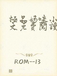 极品妈咪小说全文免费阅读