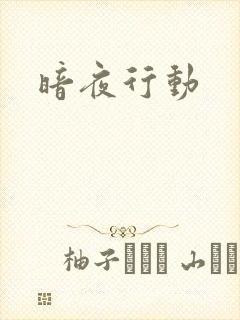 暗夜行动