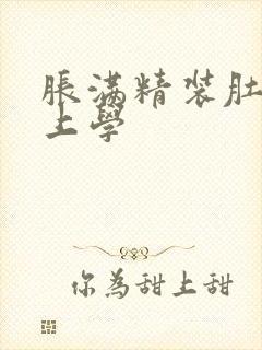 胀满精装肚子去上学封面