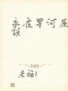 永夜星河原著小说