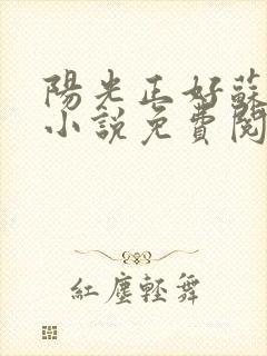 阳光正好苏玥玥小说免费阅读封面