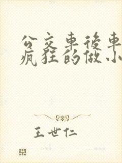 公交车后车座的疯狂的做小