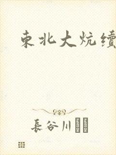 东北大炕续集封面