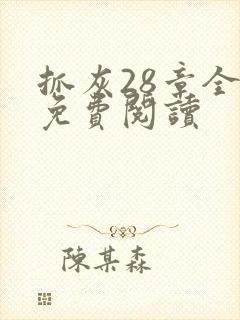 抓灰28章全部免费阅读