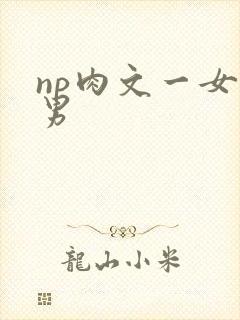 np肉文一女多男