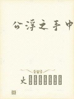 公浮之手中字5