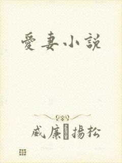 爱妻小说