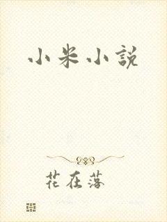 小米小说