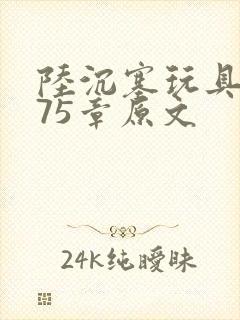 陆沉塞玩具高速75章原文