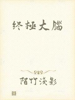 终极大脑
