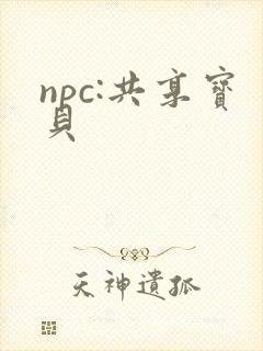 npc:共享宝贝