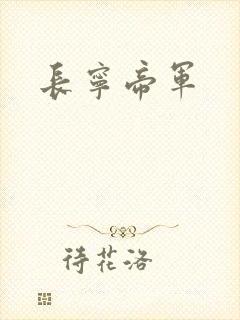 长宁帝军封面