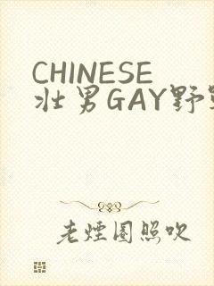 CHINESE壮男GAY野战强迫TUBE封面