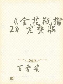 《金花瓶楷梅花2》完整版封面