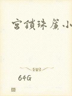 宫锁珠帘小说