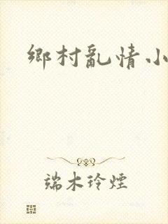 乡村乱情小说
