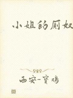 小姐的厕奴