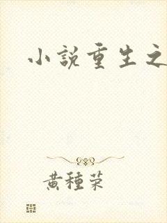 小说重生之官道