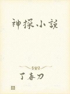 神探小说