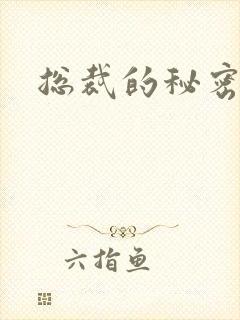总裁的秘密情人